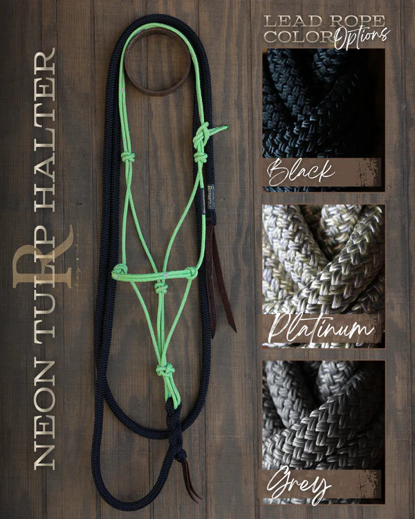 Timeless Halter and Lead Rope Set