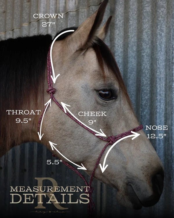 Timeless Halter and Lead Rope Set