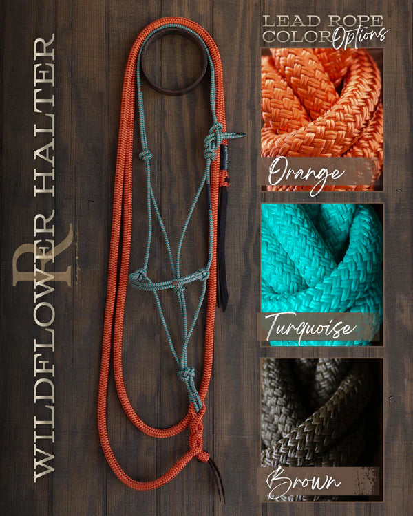 Timeless Halter and Lead Rope Set